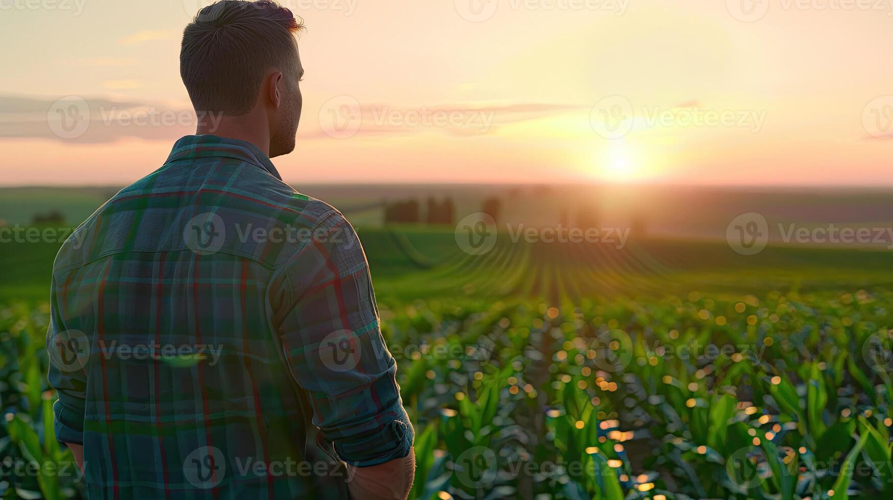 A man standing in a corn field at sunset photo