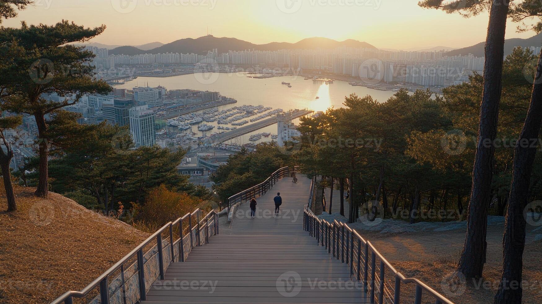 A staircase leading up to a hill with trees and water photo