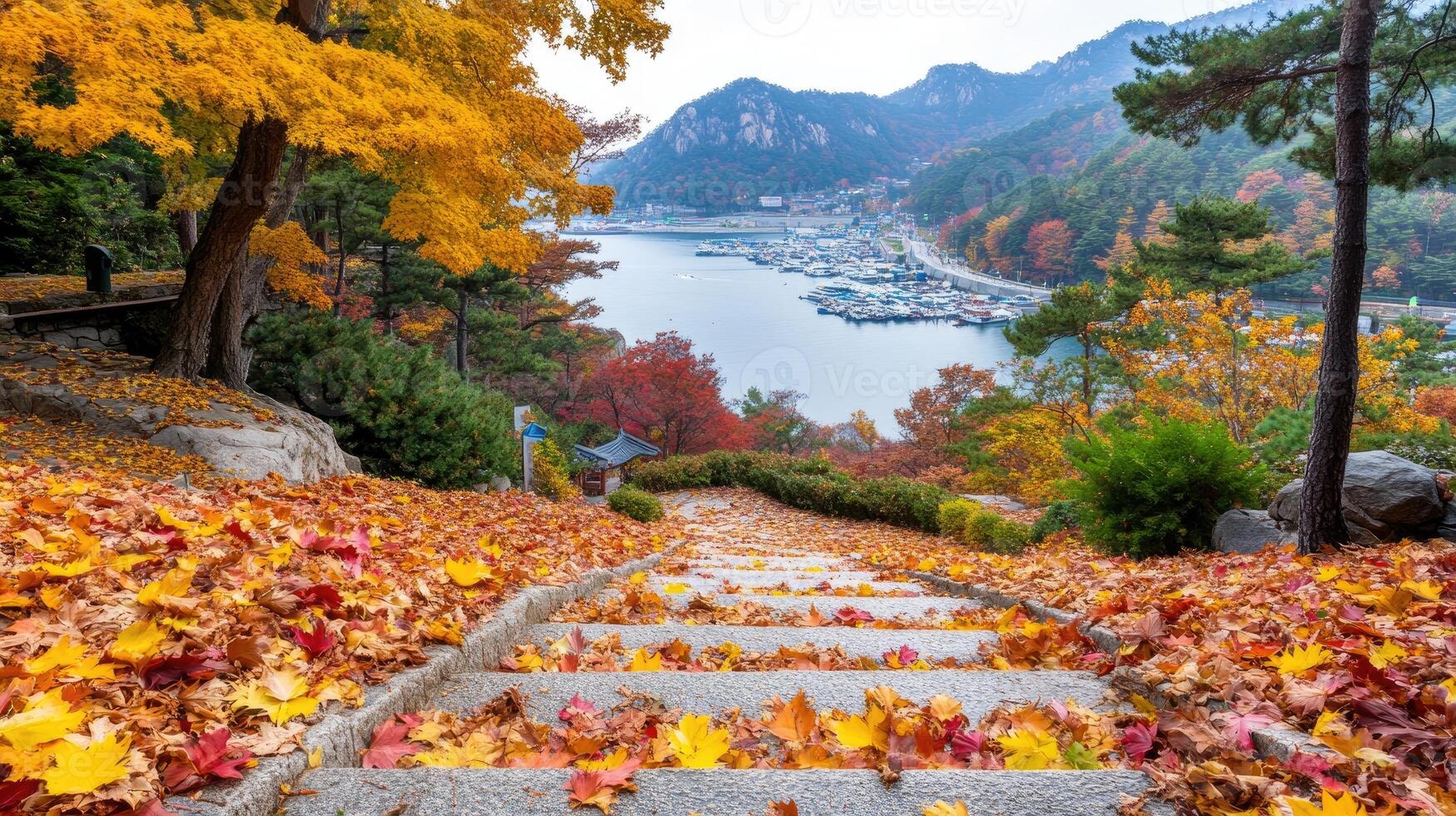 Autumn leaves on the stairs leading to a lake photo