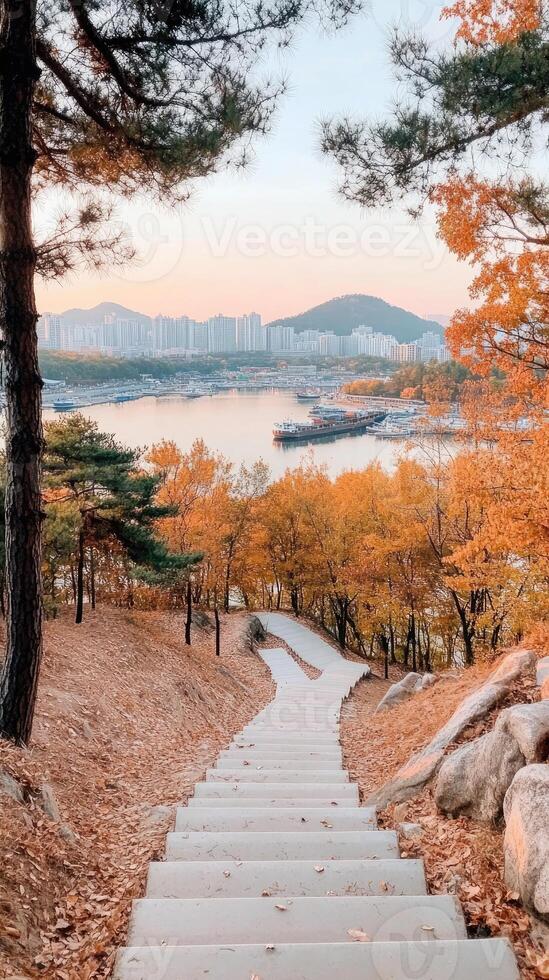 Steps leading to a lake in autumn photo