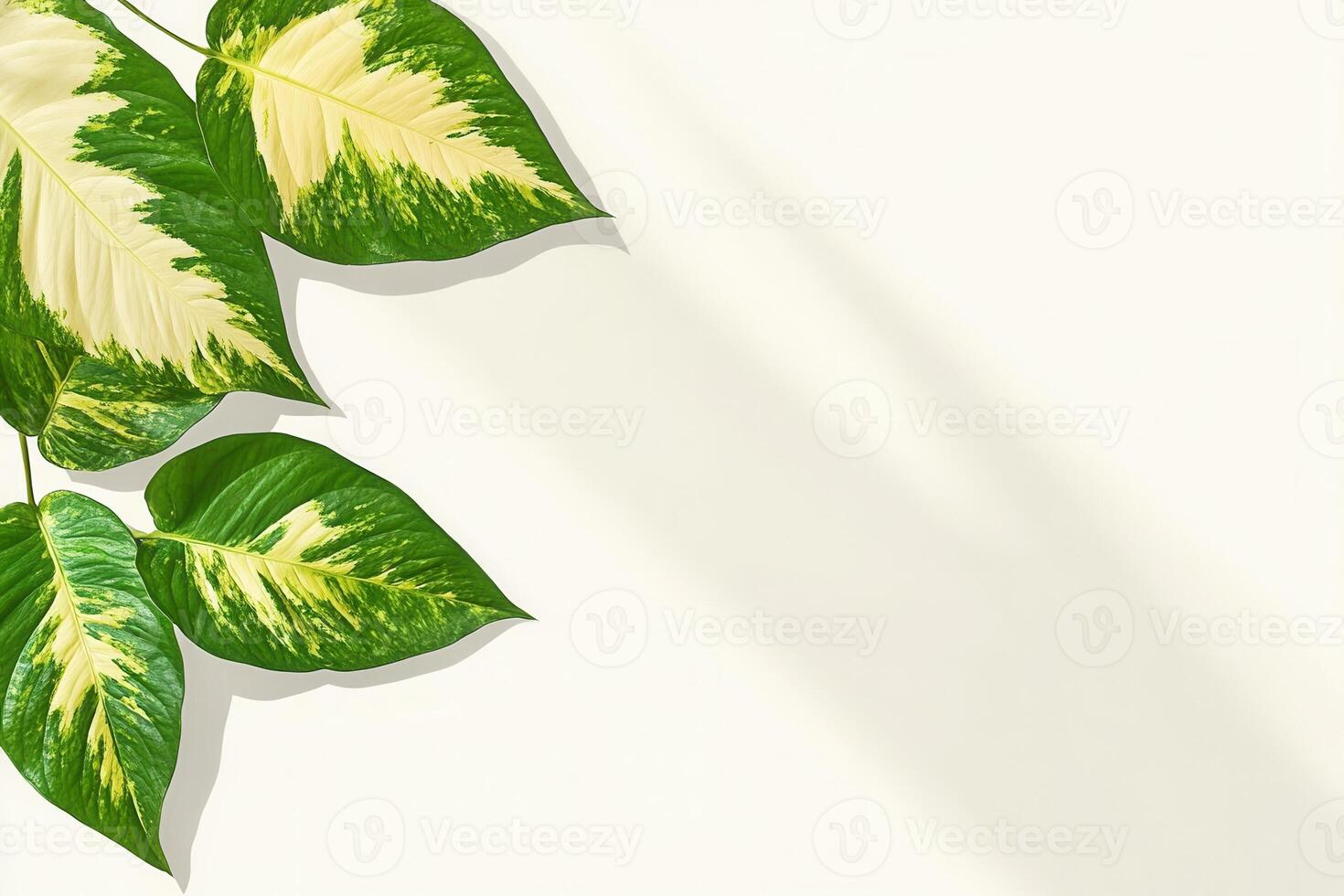 Green leaves with variegated patterns on a light background. photo