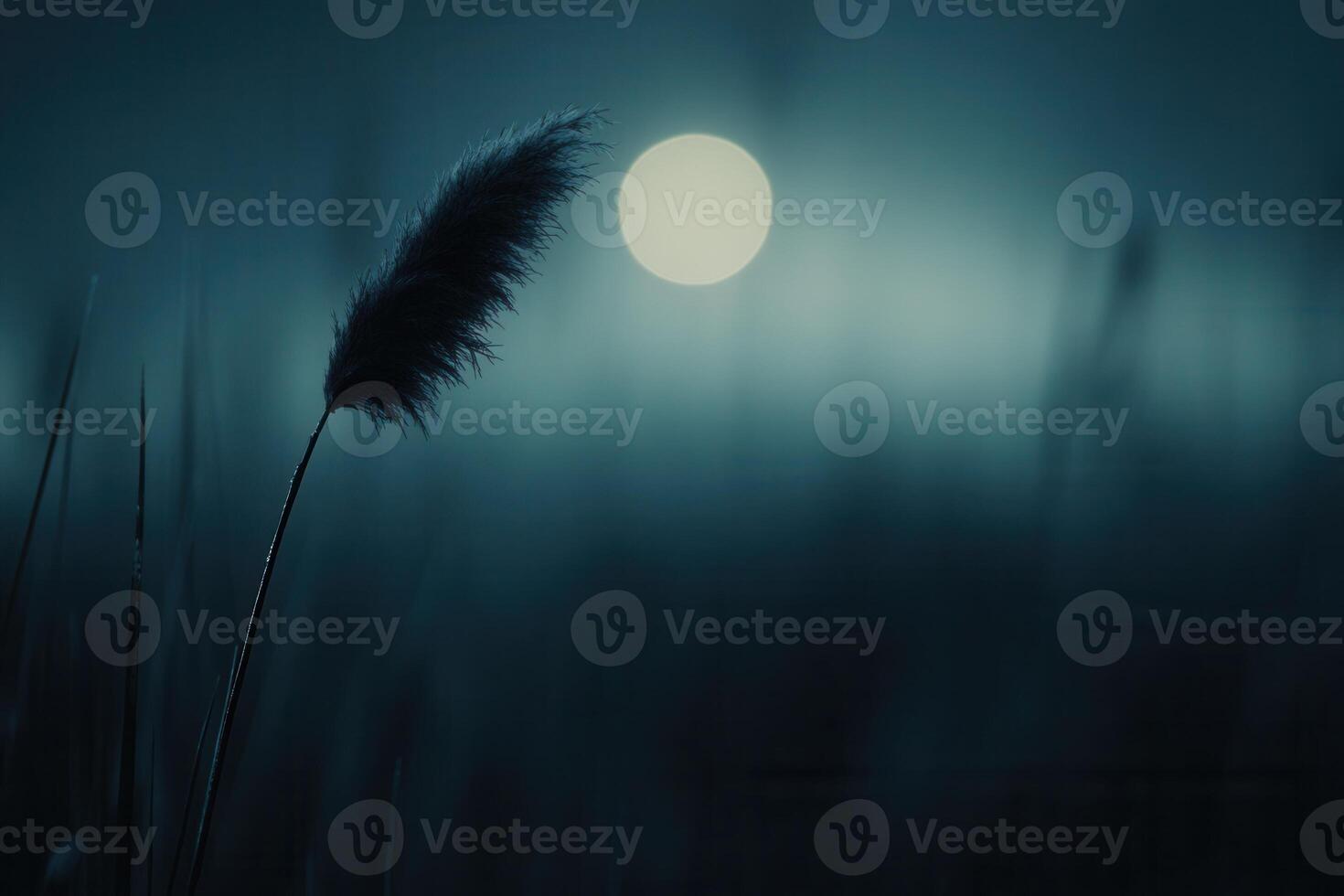 Silhouette of a grass stalk against a glowing moon. photo