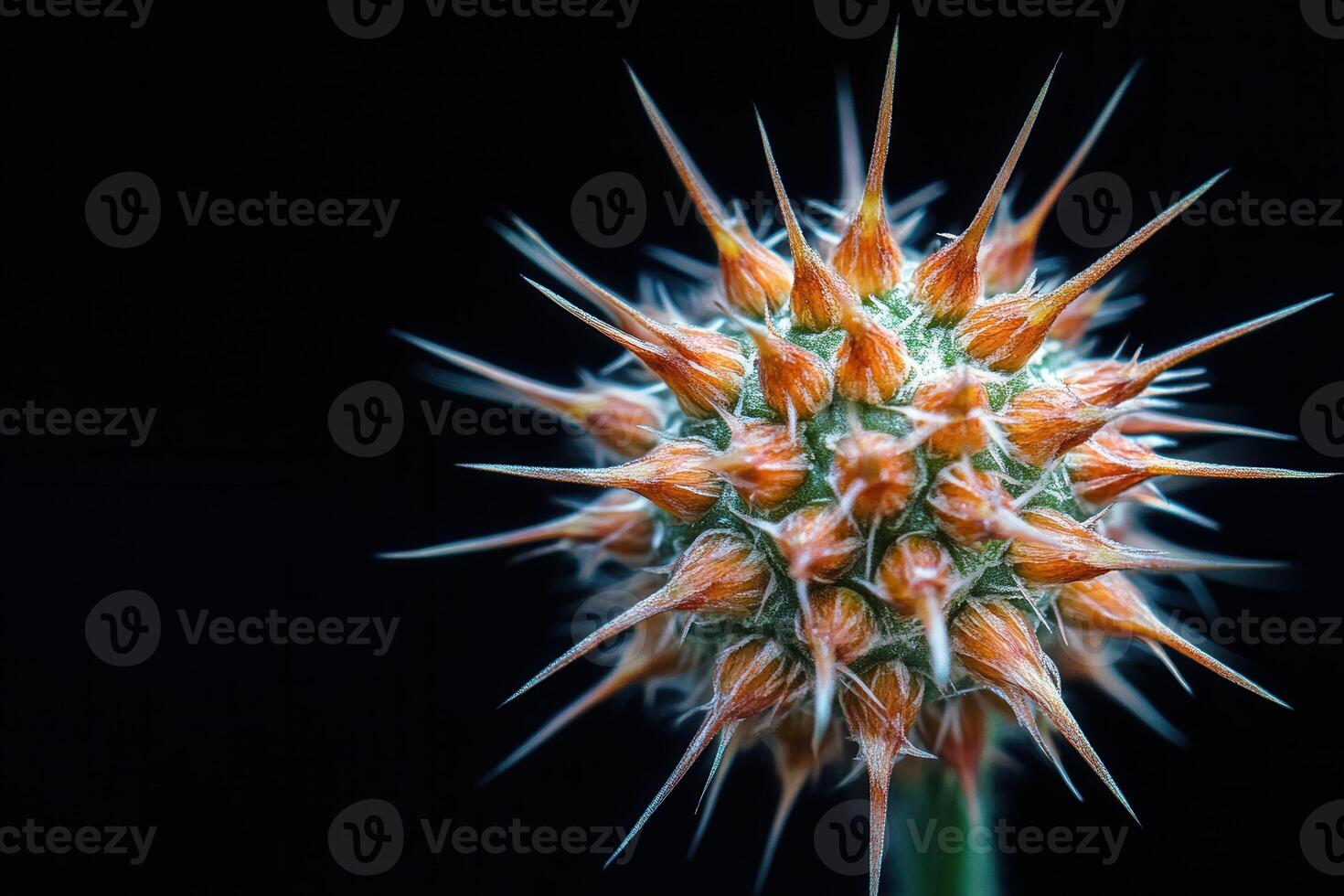 Close-up of a spiky, orange-tipped plant structure. photo