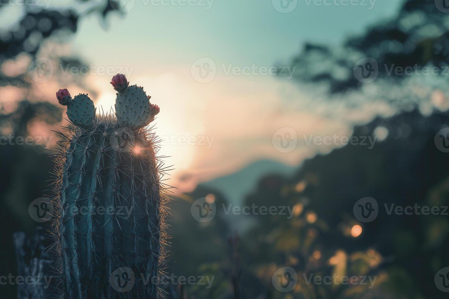 Cactus silhouette against a sunset backdrop. photo