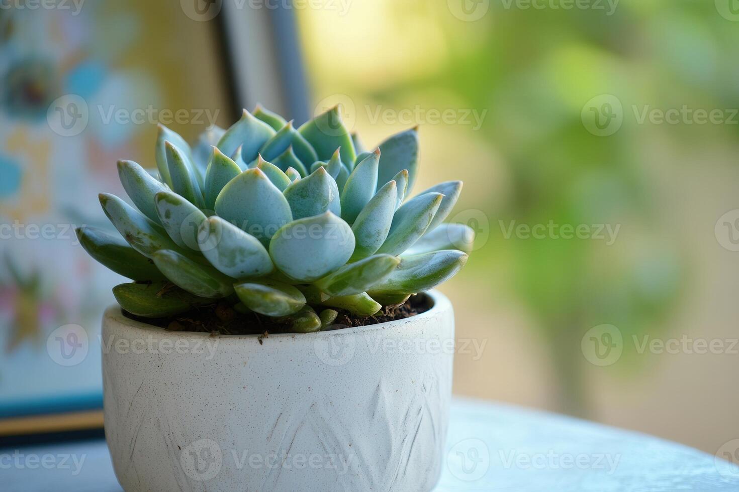 A succulent plant in a decorative pot on a table. photo