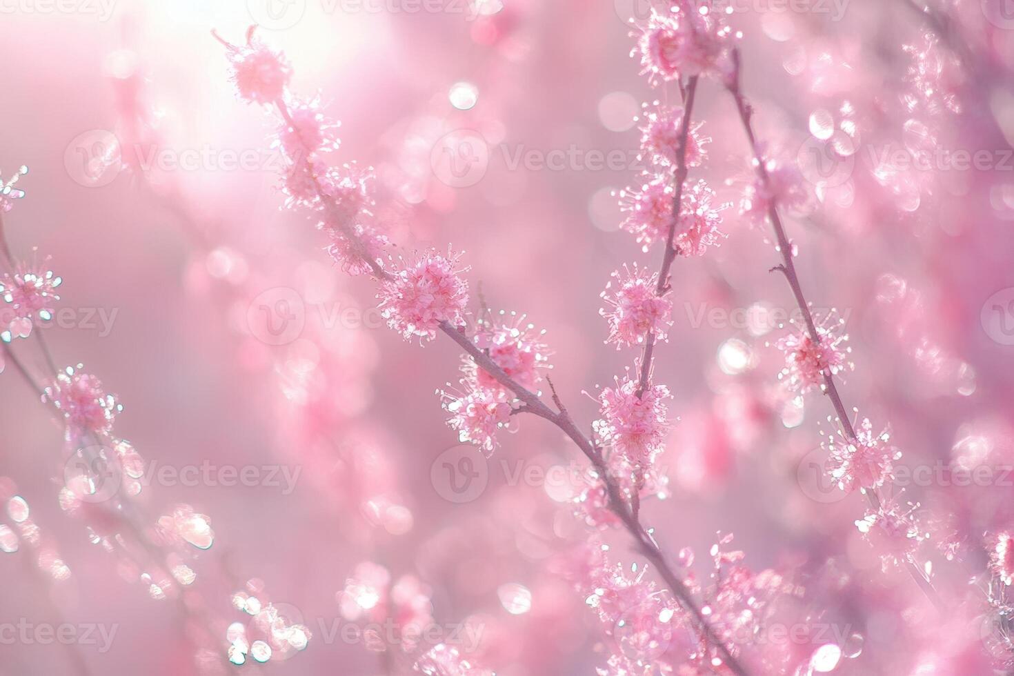 Delicate pink blossoms glistening with dew. photo