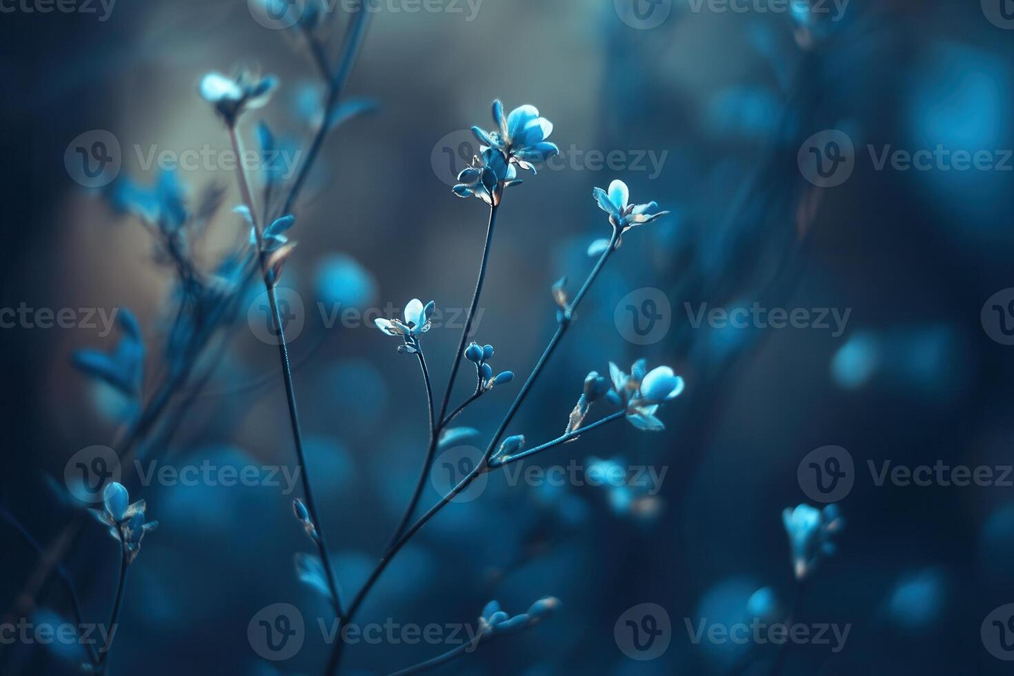 Delicate blue flowers in a serene, soft-focus background. photo