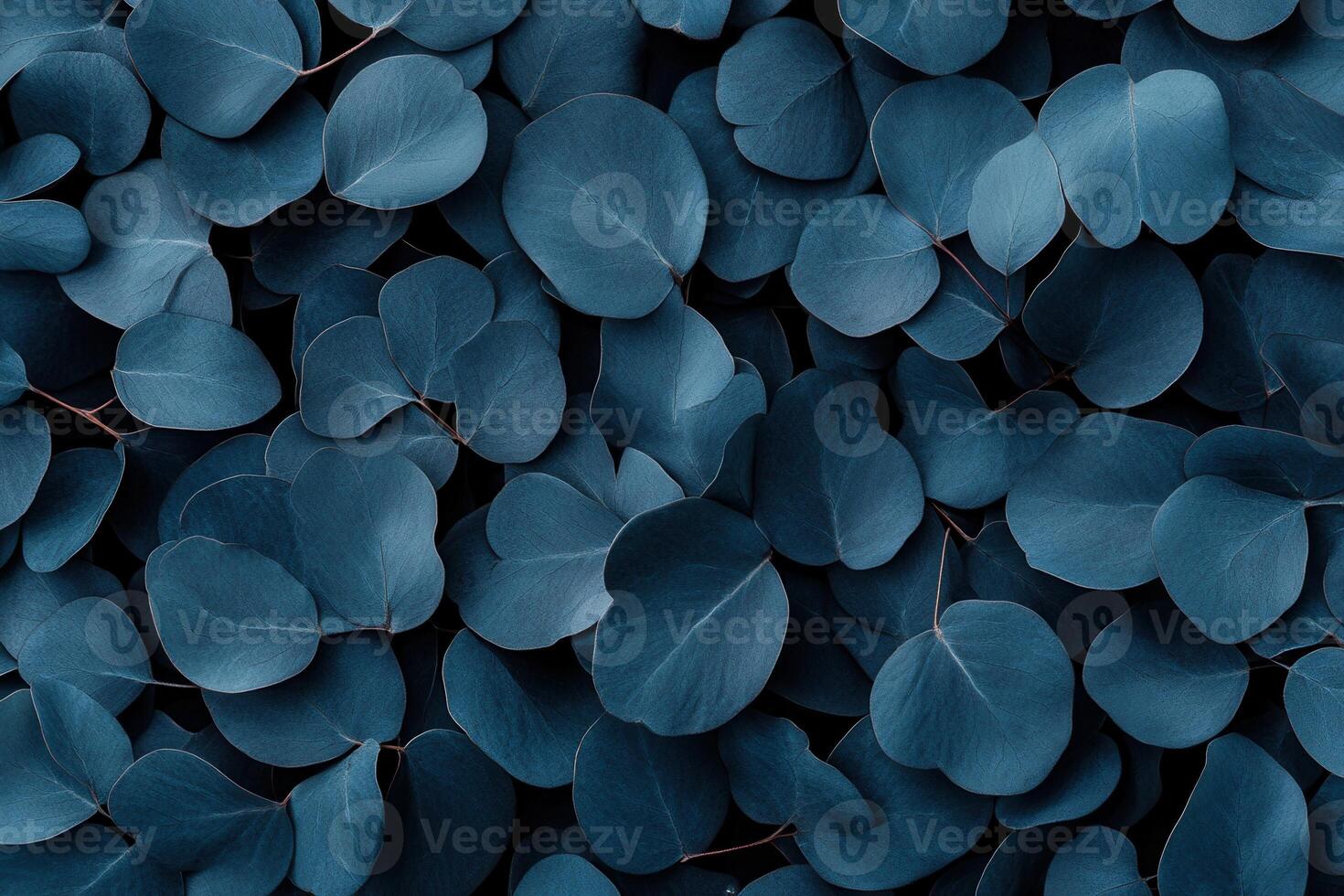 A close-up of dark blue leaves creating a textured pattern. photo