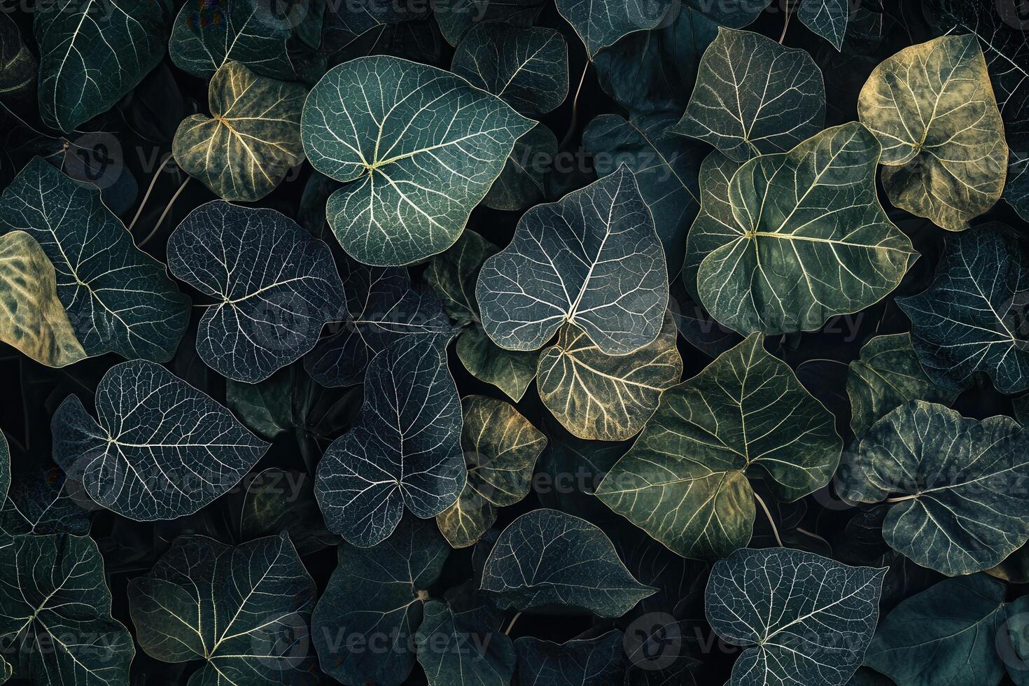 A close-up of lush green leaves with intricate patterns. photo