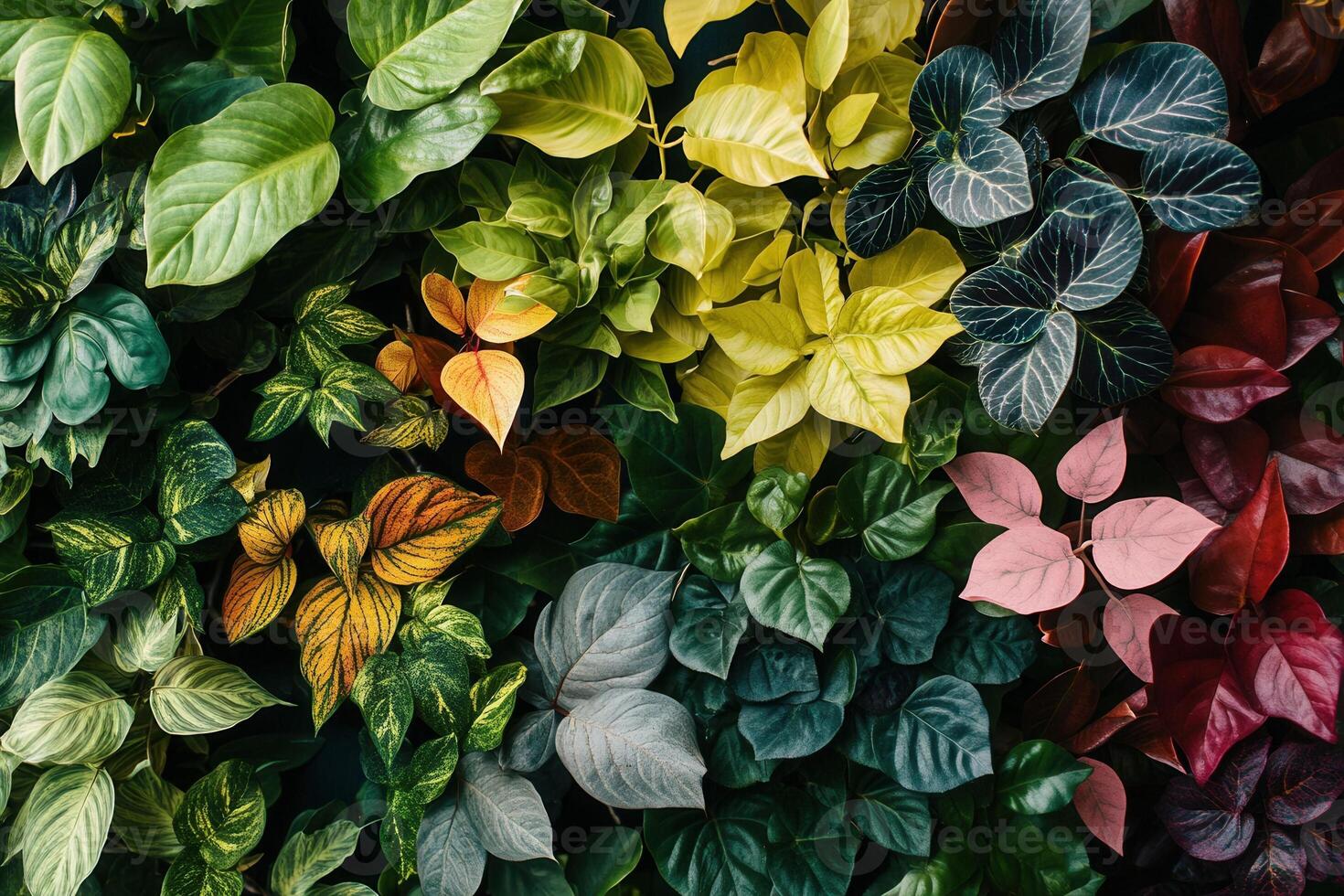 A vibrant collection of various green leaves. photo