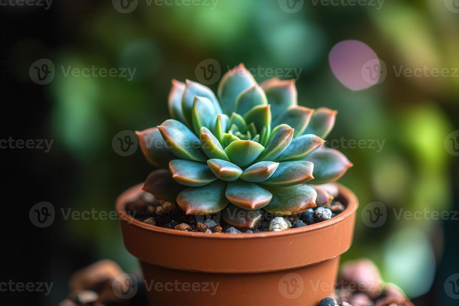A succulent plant in a terracotta pot with vibrant colors. photo