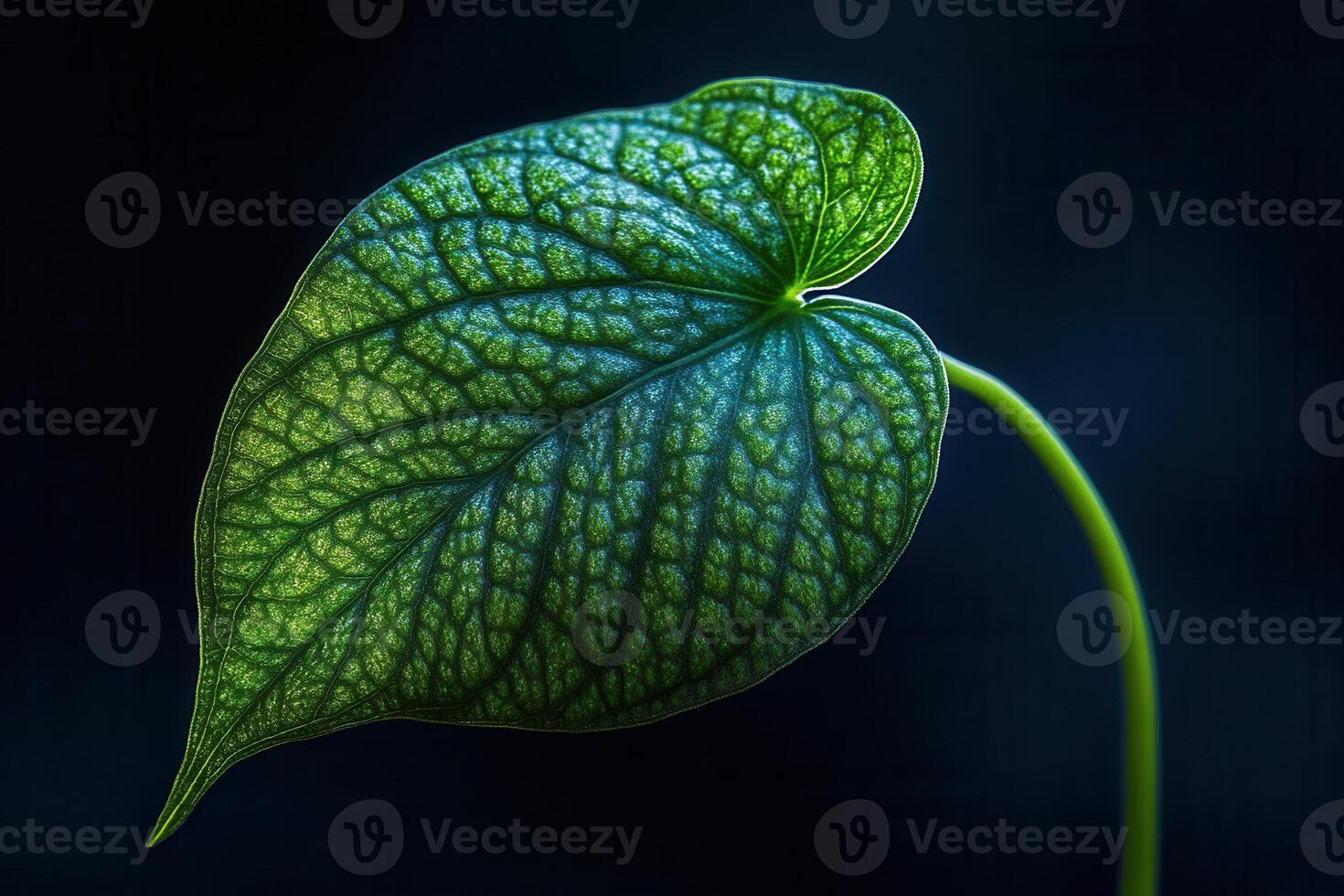Close-up of a vibrant green leaf with intricate veins. photo