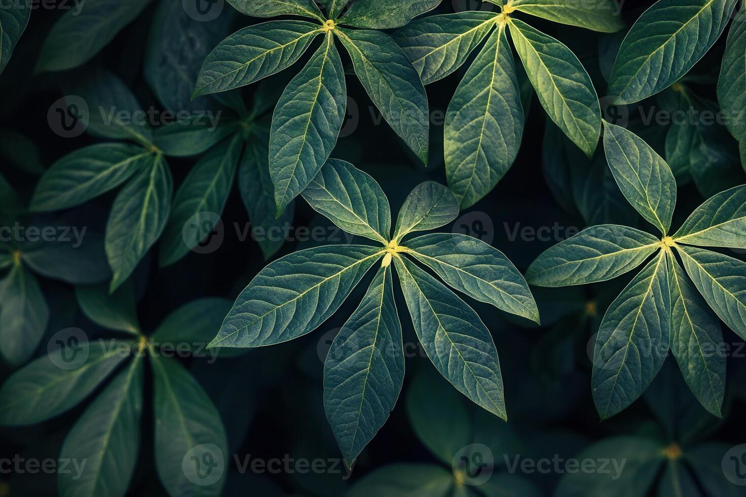 Close-up of lush green leaves with intricate patterns. photo