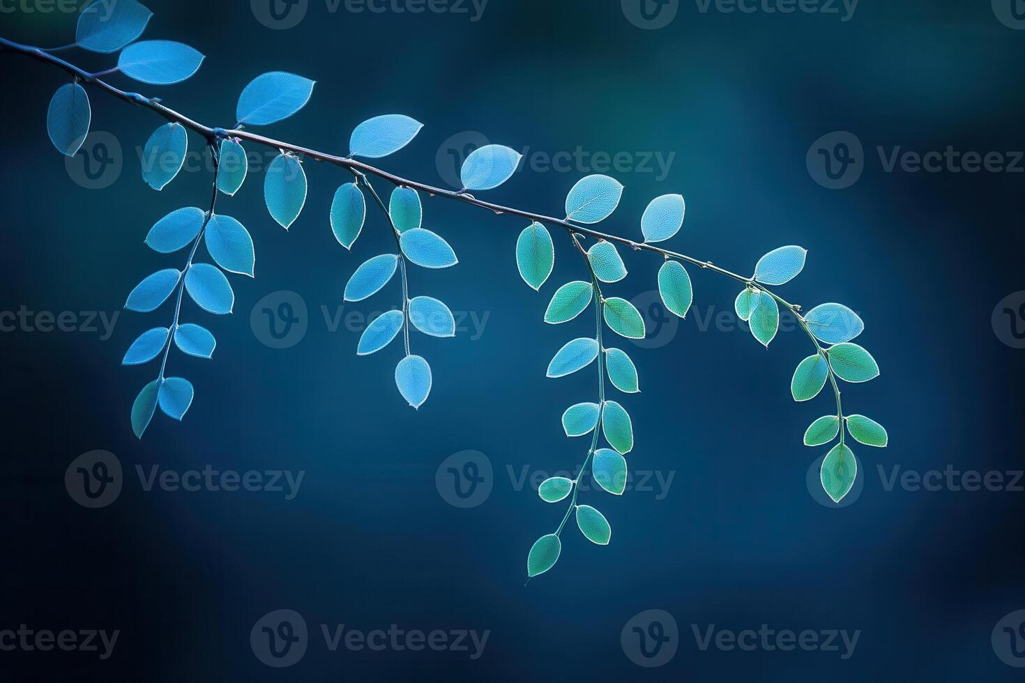 Delicate leaves on a branch against a soft blue backdrop. photo