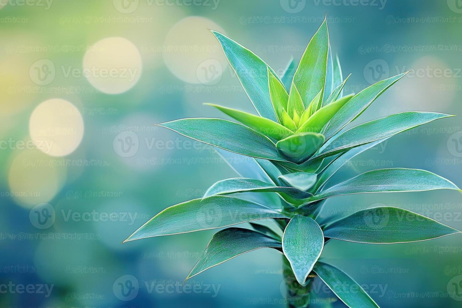 Green plant with sharp leaves against a soft background. photo
