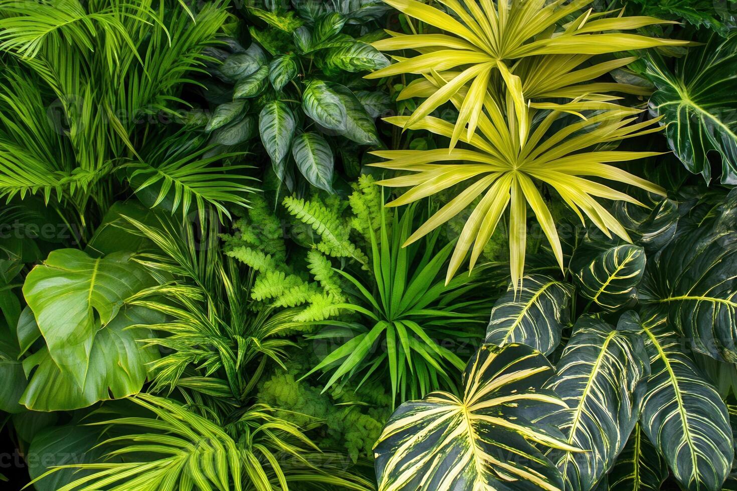 Lush green foliage featuring various plant species. photo