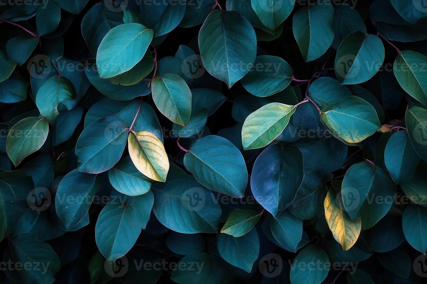 Lush green leaves with a single yellow highlight. photo
