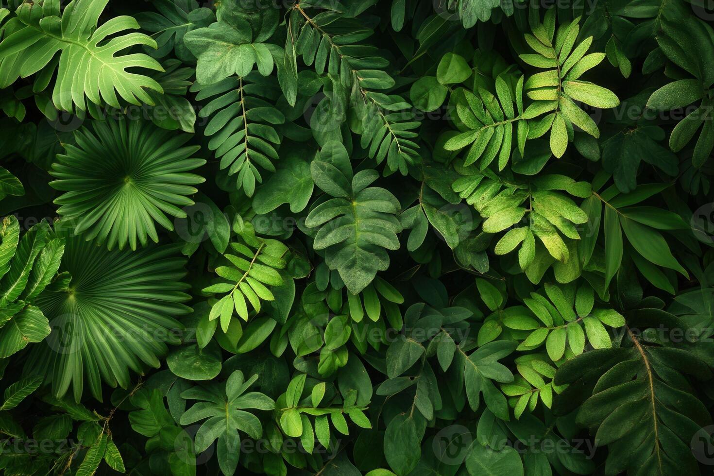 Lush green foliage creating a vibrant natural backdrop. photo