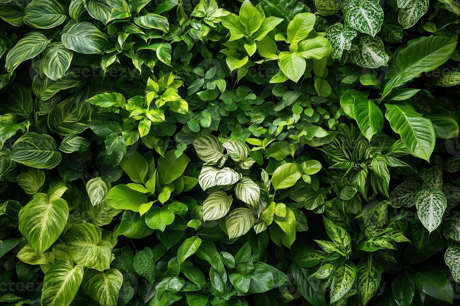Lush green foliage creating a vibrant plant wall display. photo