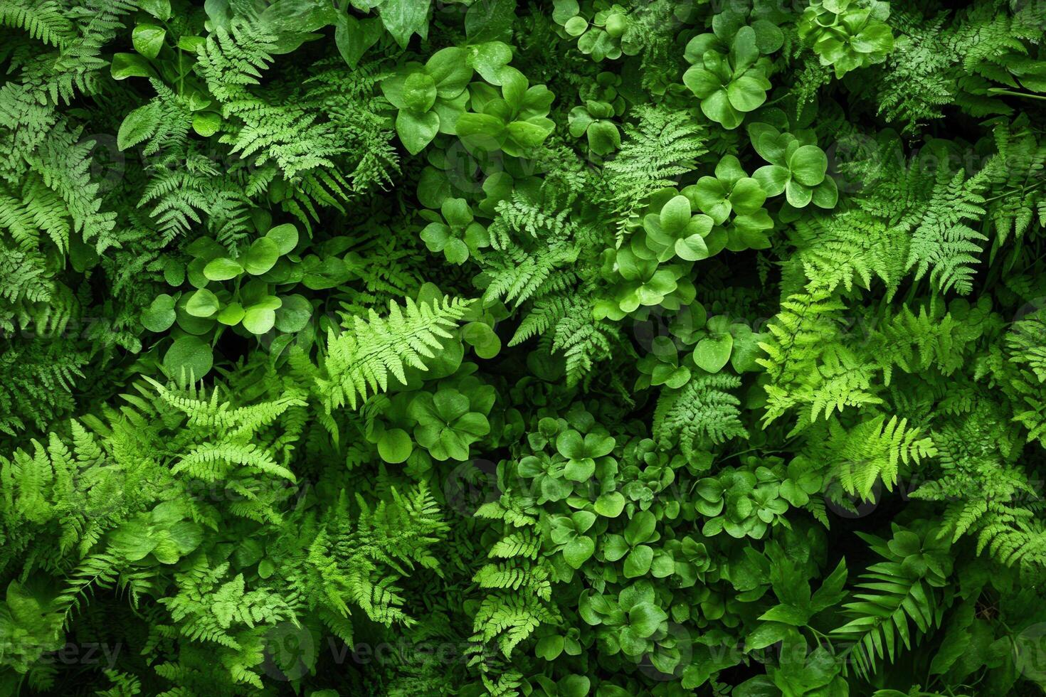 Lush green foliage creating a vibrant, natural backdrop. photo
