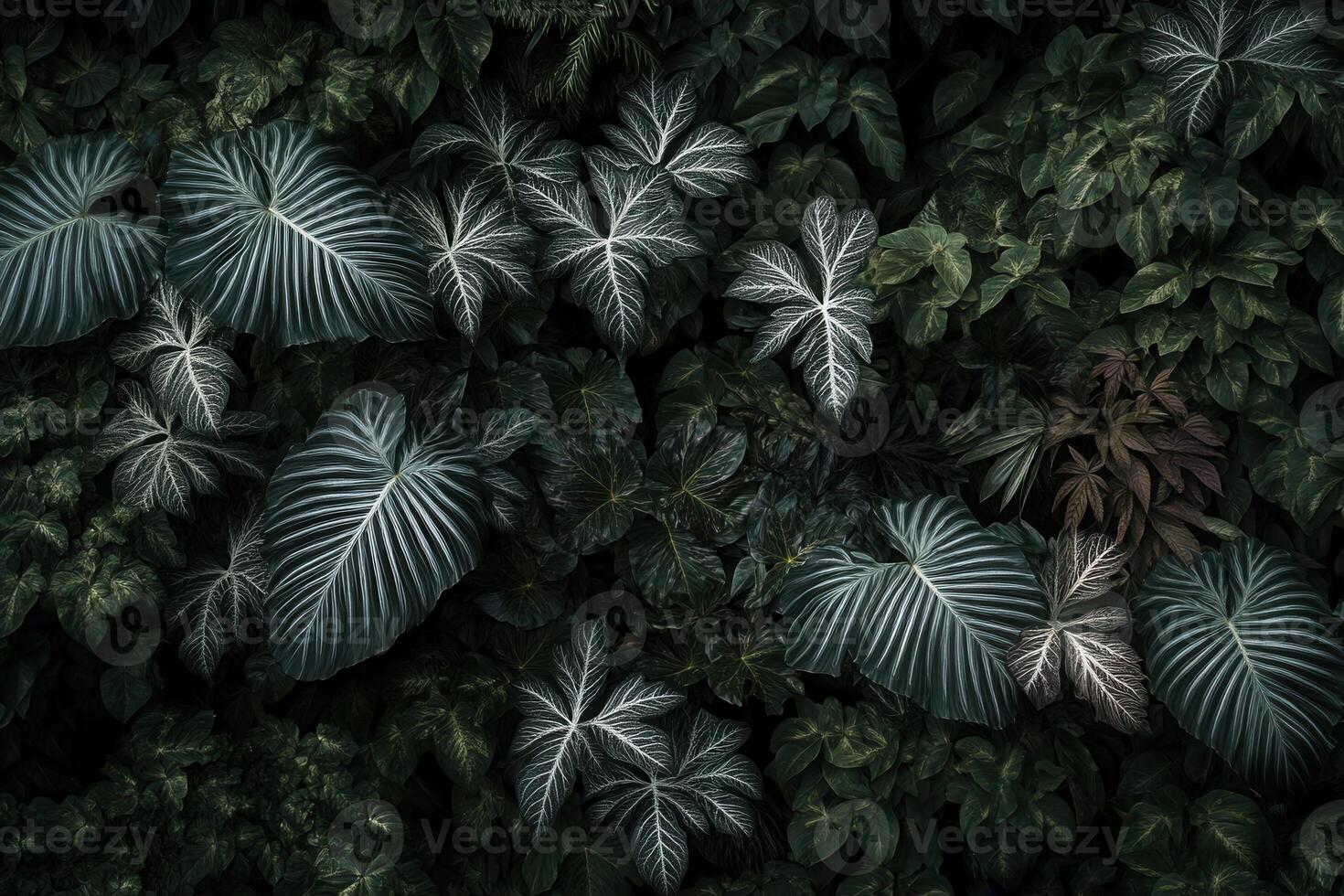 Lush green foliage with intricate leaf patterns. photo
