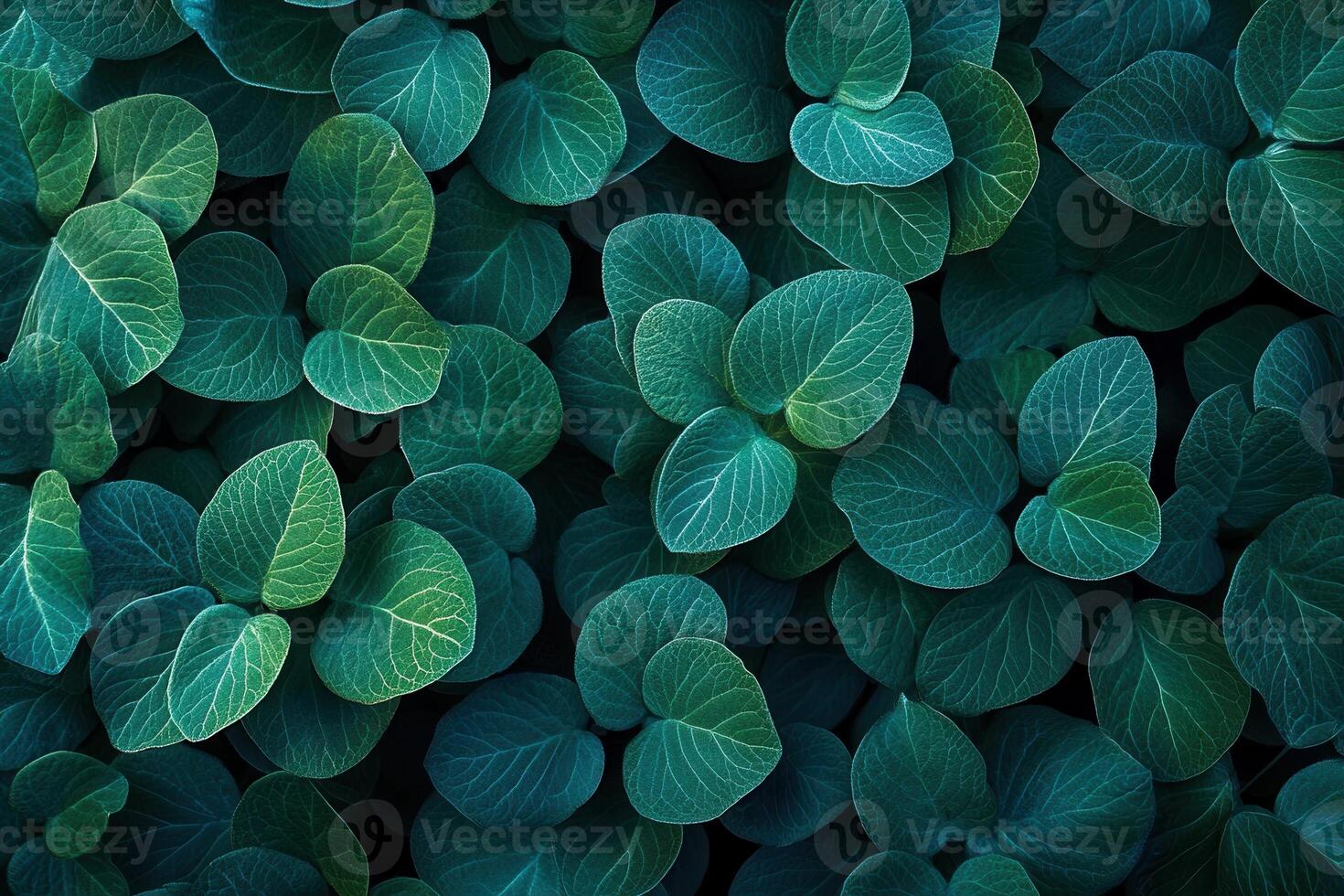 Lush green leaves creating a serene natural pattern. photo