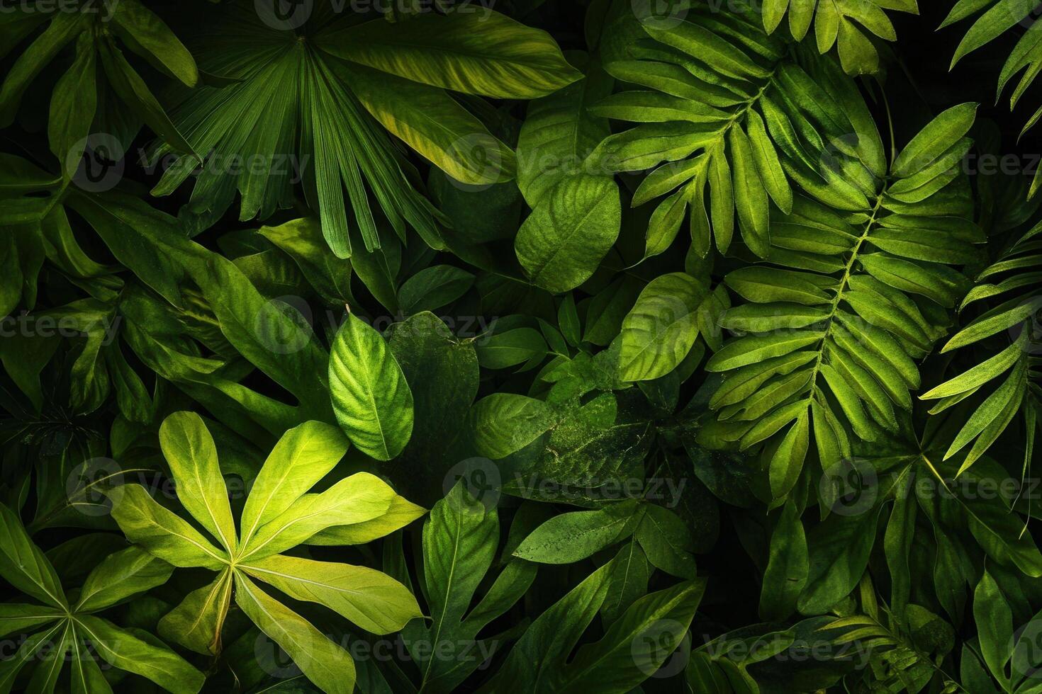 Lush green leaves creating a vibrant natural backdrop. photo