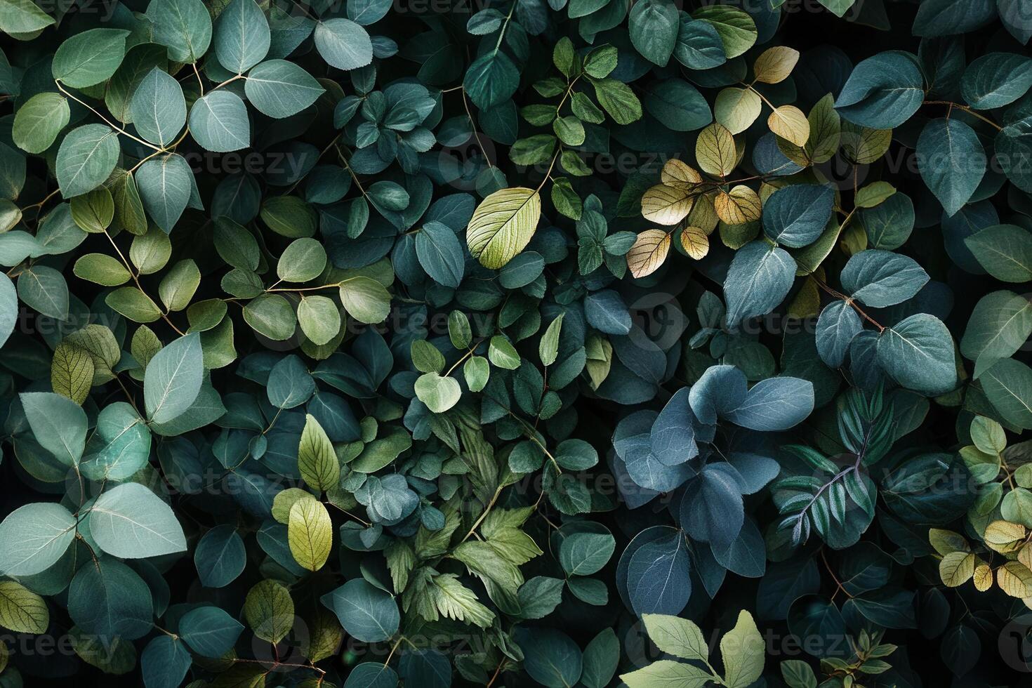 Lush green leaves creating a vibrant, natural pattern. photo