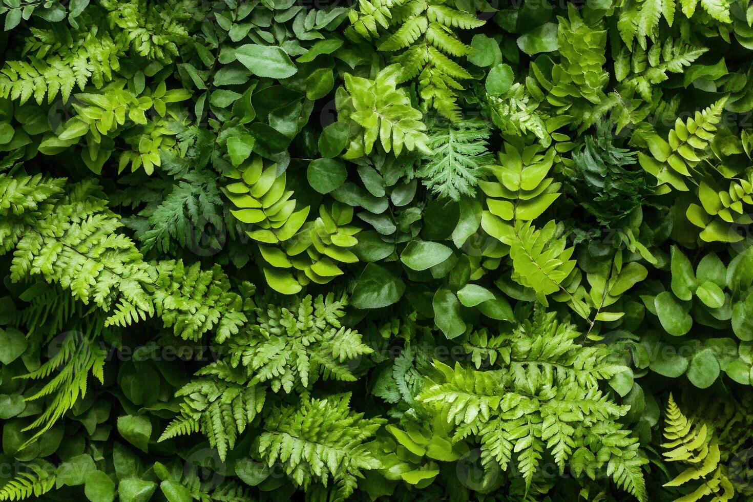 Lush green ferns and leaves create a vibrant wall of foliage. photo