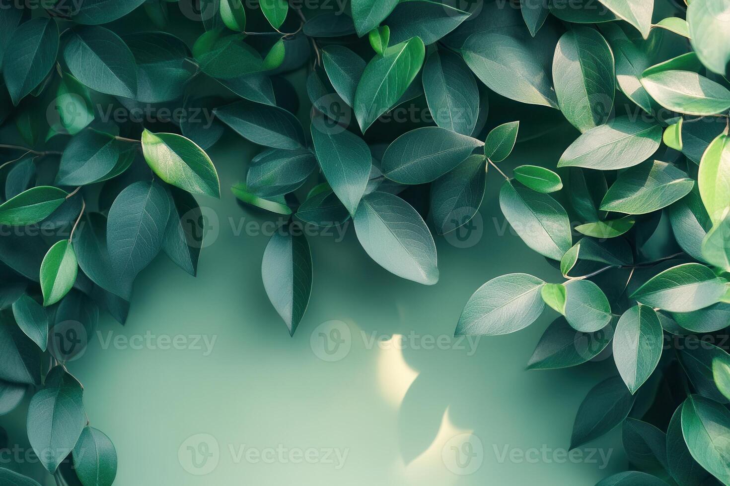 Lush green leaves arranged on a soft background. photo