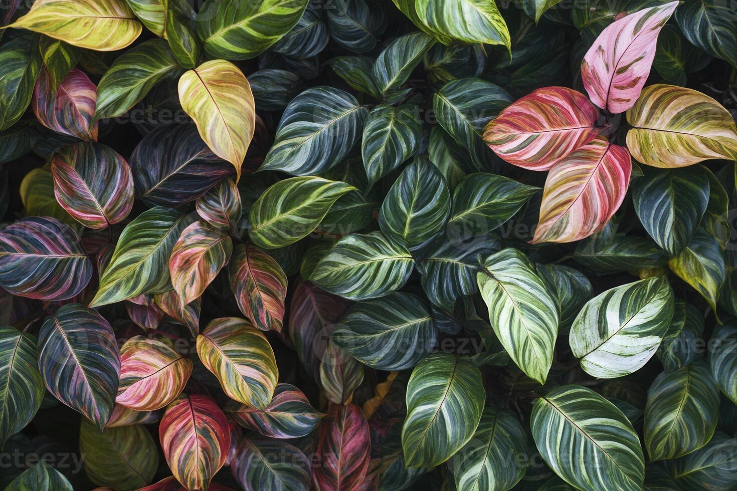 Vibrant foliage showcasing various leaf patterns and colors. photo