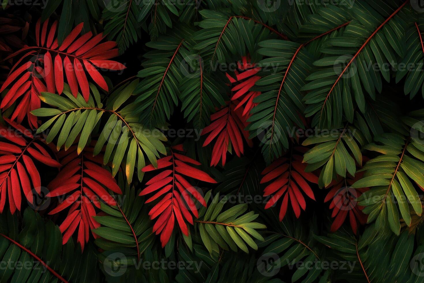 Vibrant green and red foliage creating a lush backdrop. photo