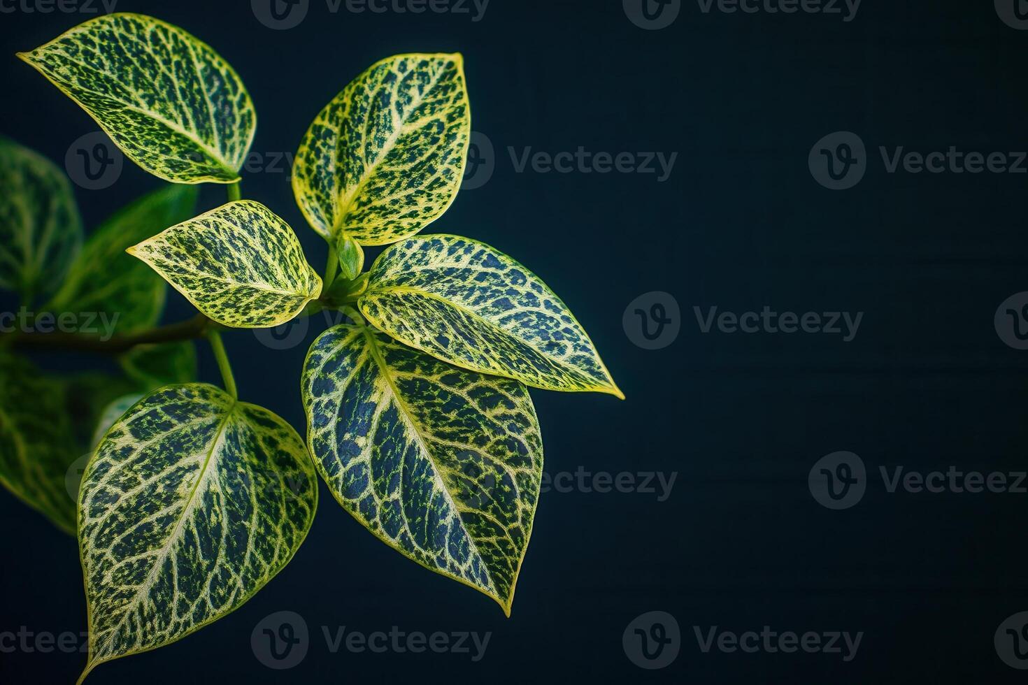Vibrant green leaves with intricate patterns on dark background. photo