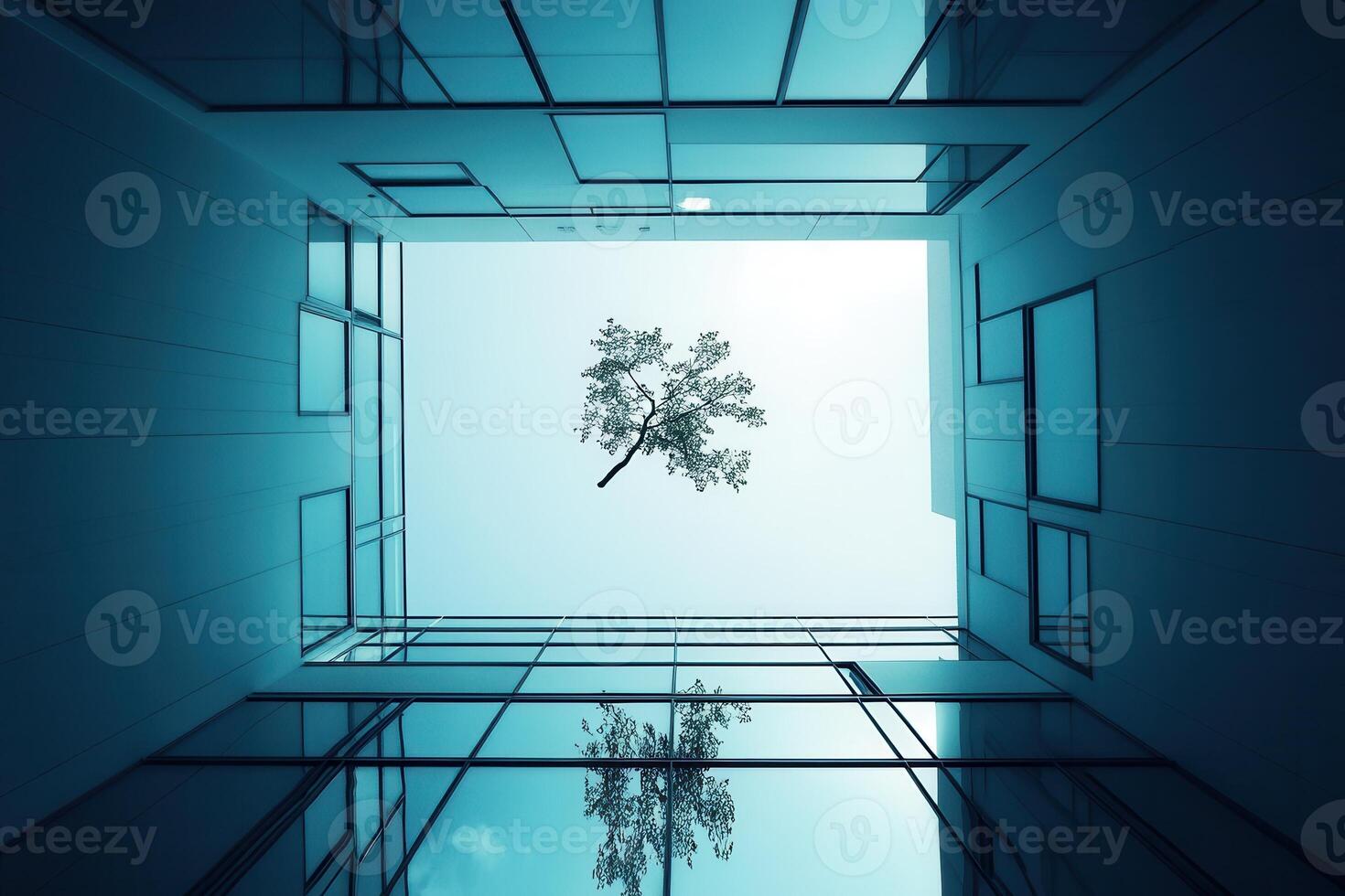 View of a tree through modern glass architecture. photo