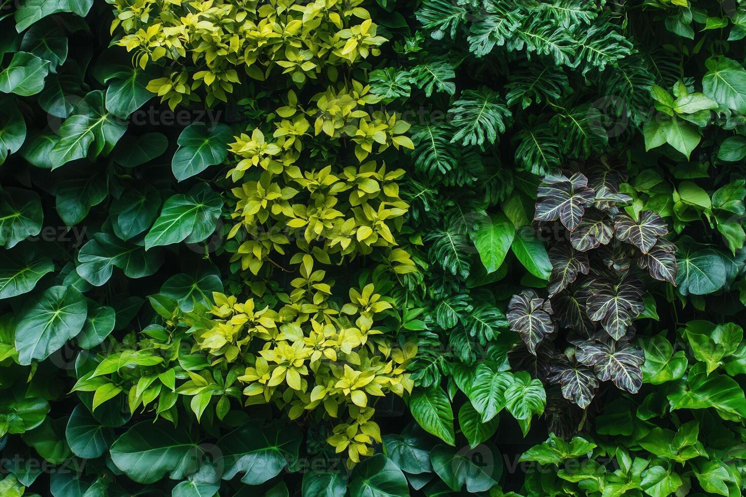 Lush green wall featuring various plants and foliage. photo