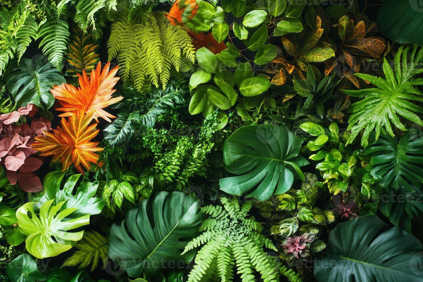 Lush greenery featuring various plants and foliage. photo