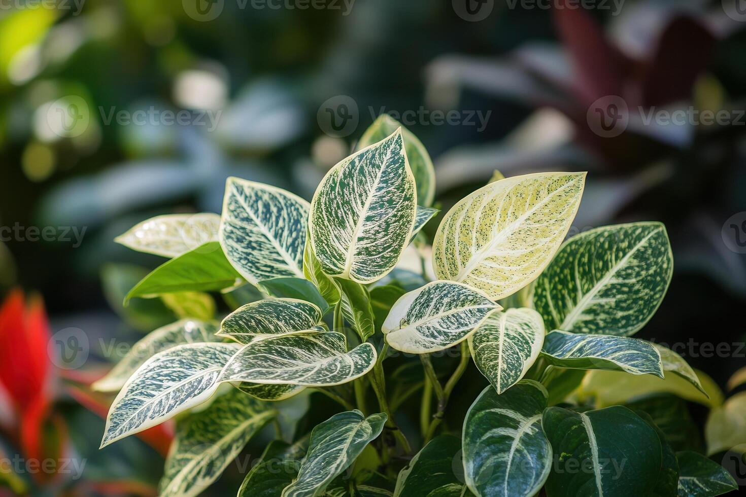 Lush green leaves with intricate patterns and textures. photo