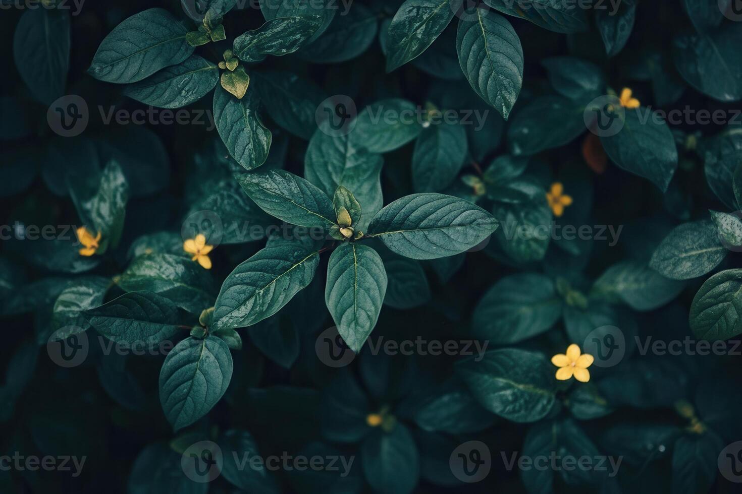 Lush green leaves with small yellow flowers. photo