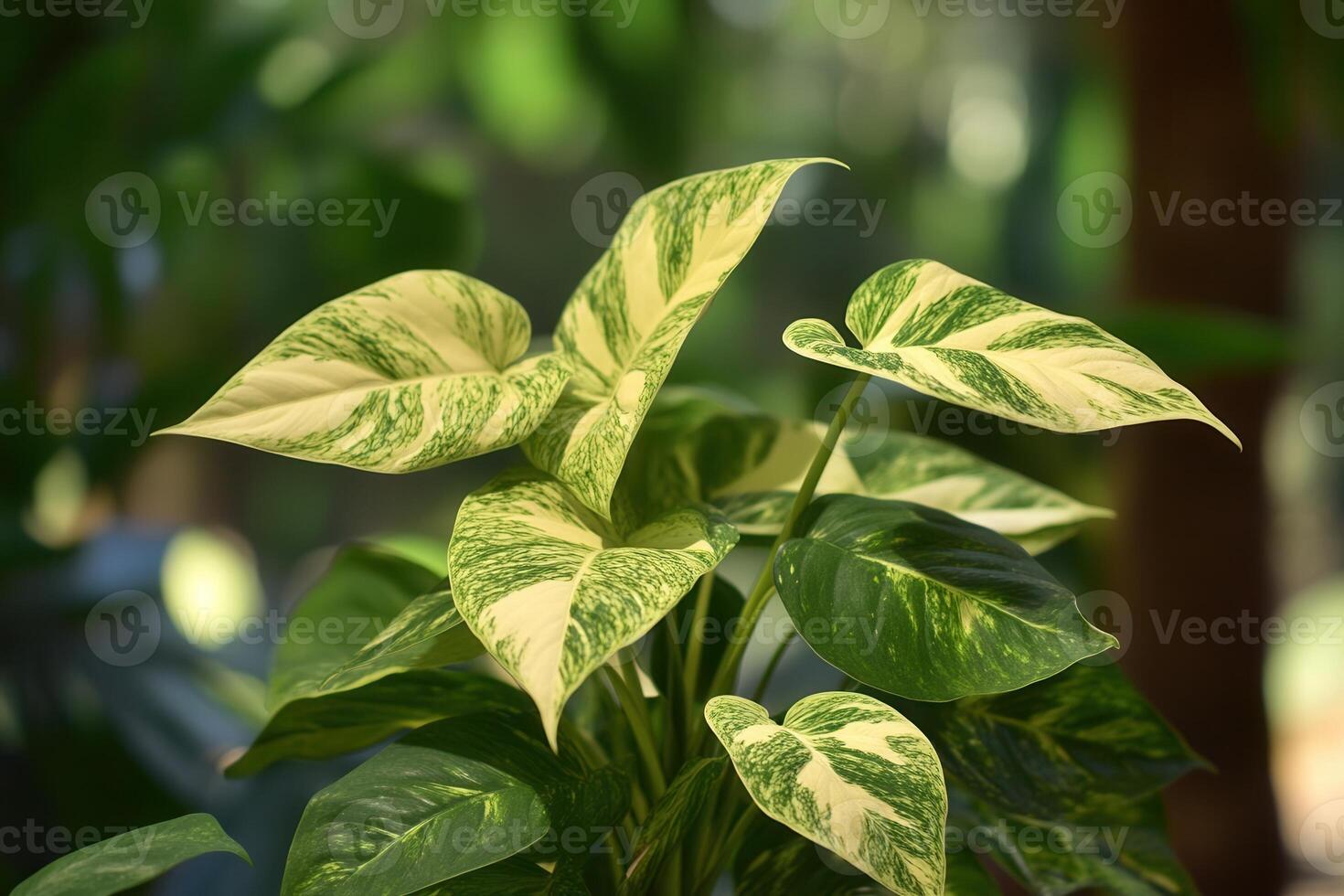 Lush green leaves with variegated patterns. photo