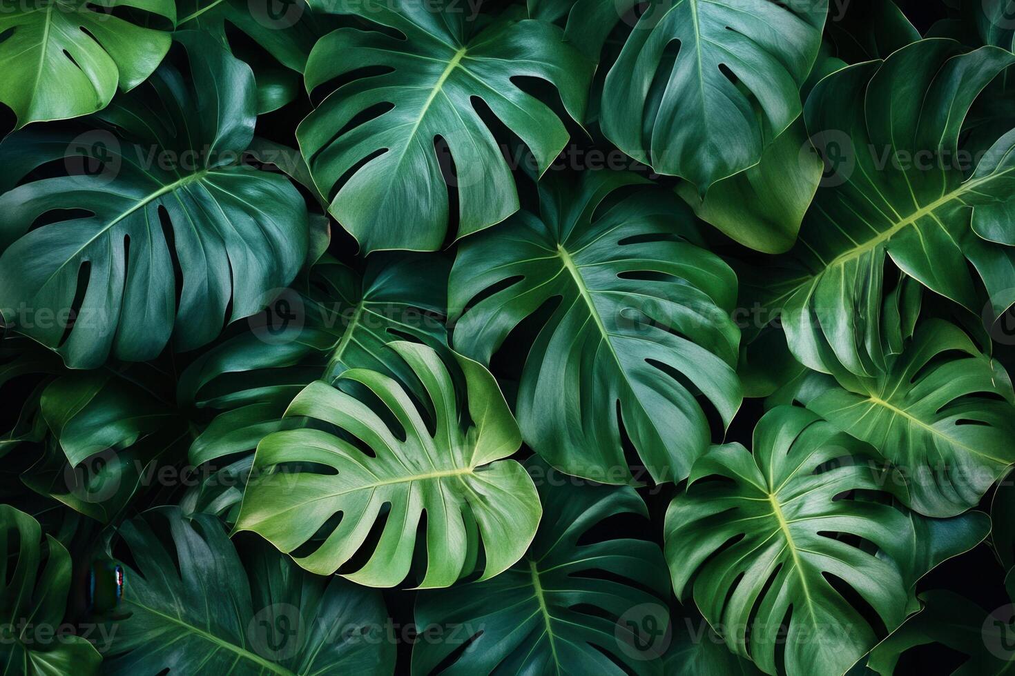 Lush green tropical leaves creating a vibrant backdrop. photo