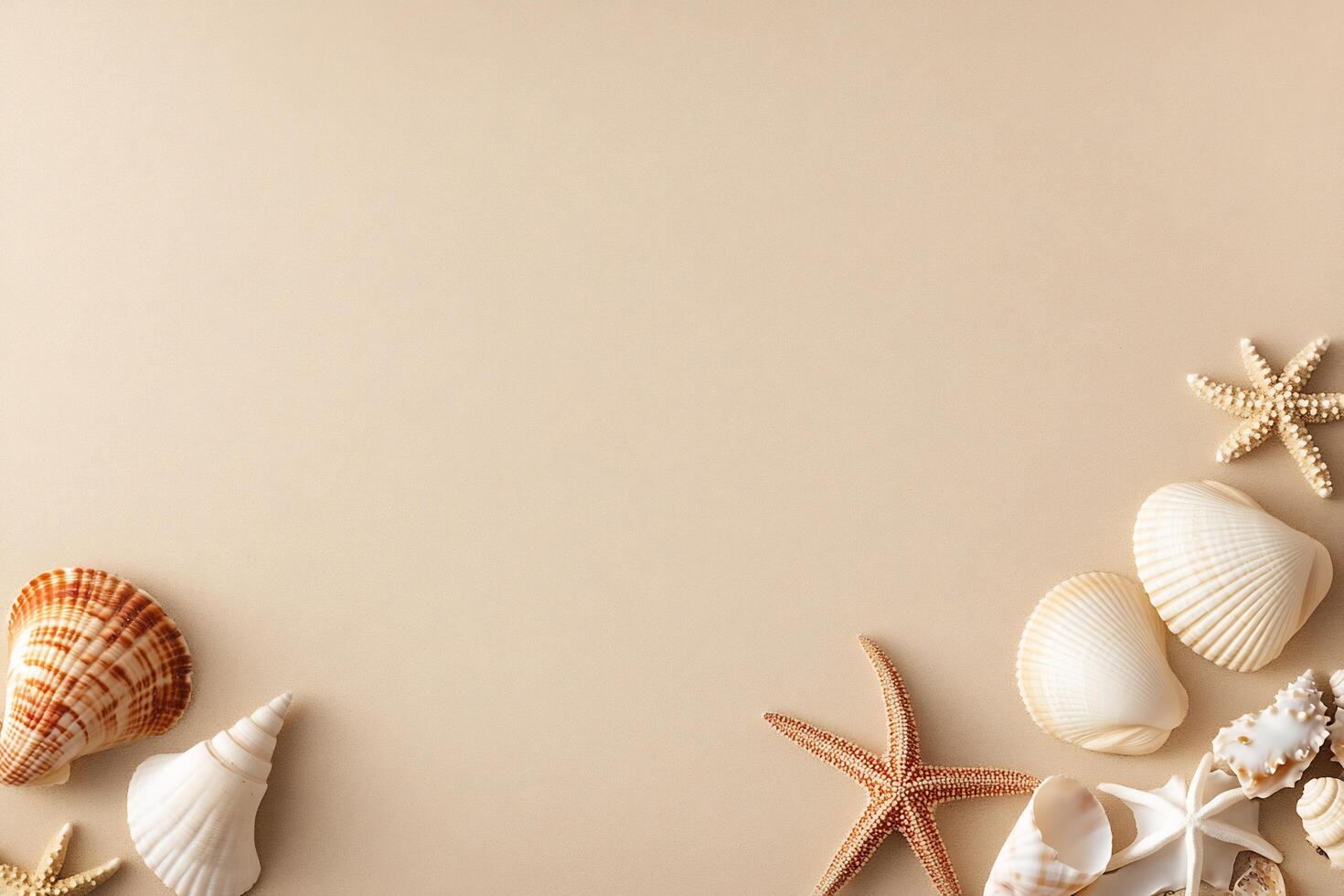 Various shells and starfish on a beige background photo