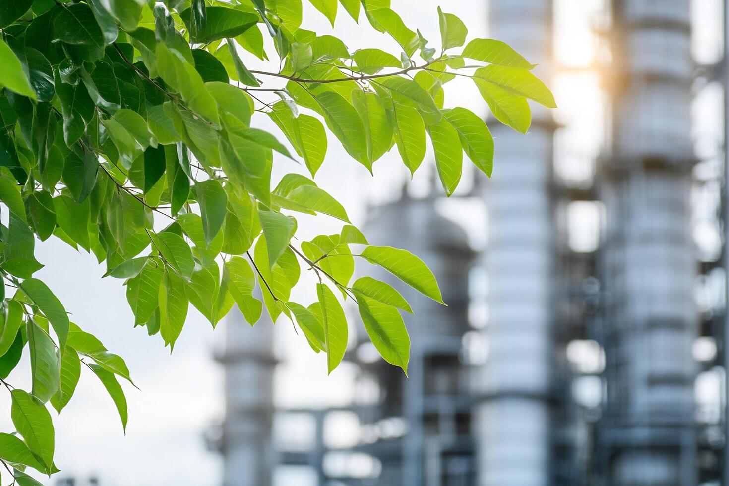 Green leaves on a tree in front of an industrial plant photo