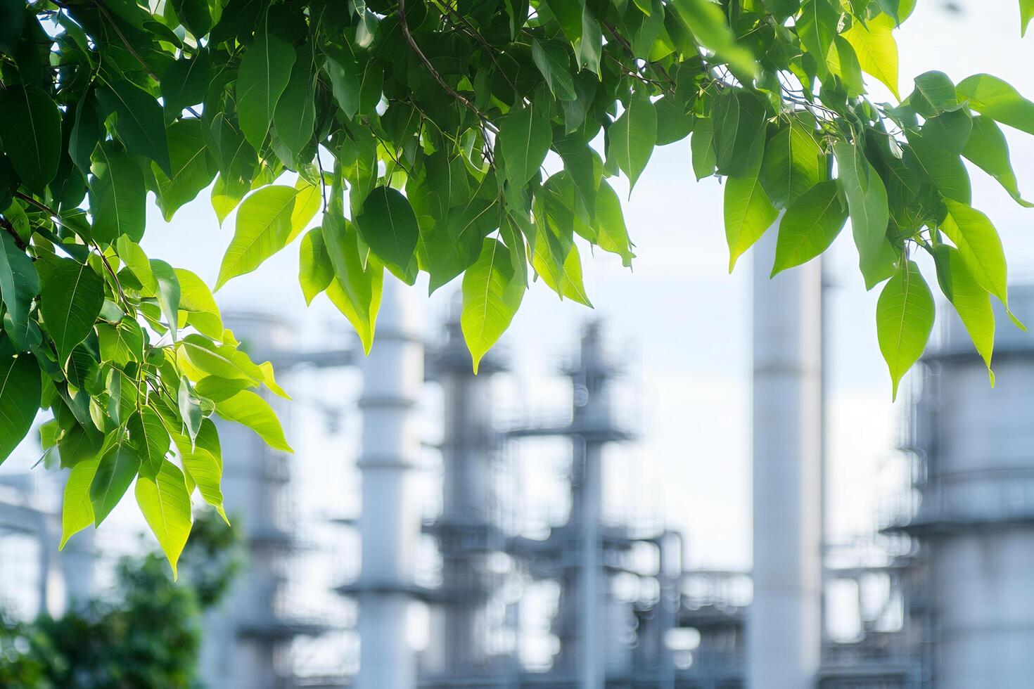 A green leafy tree is in front of a large industrial plant photo