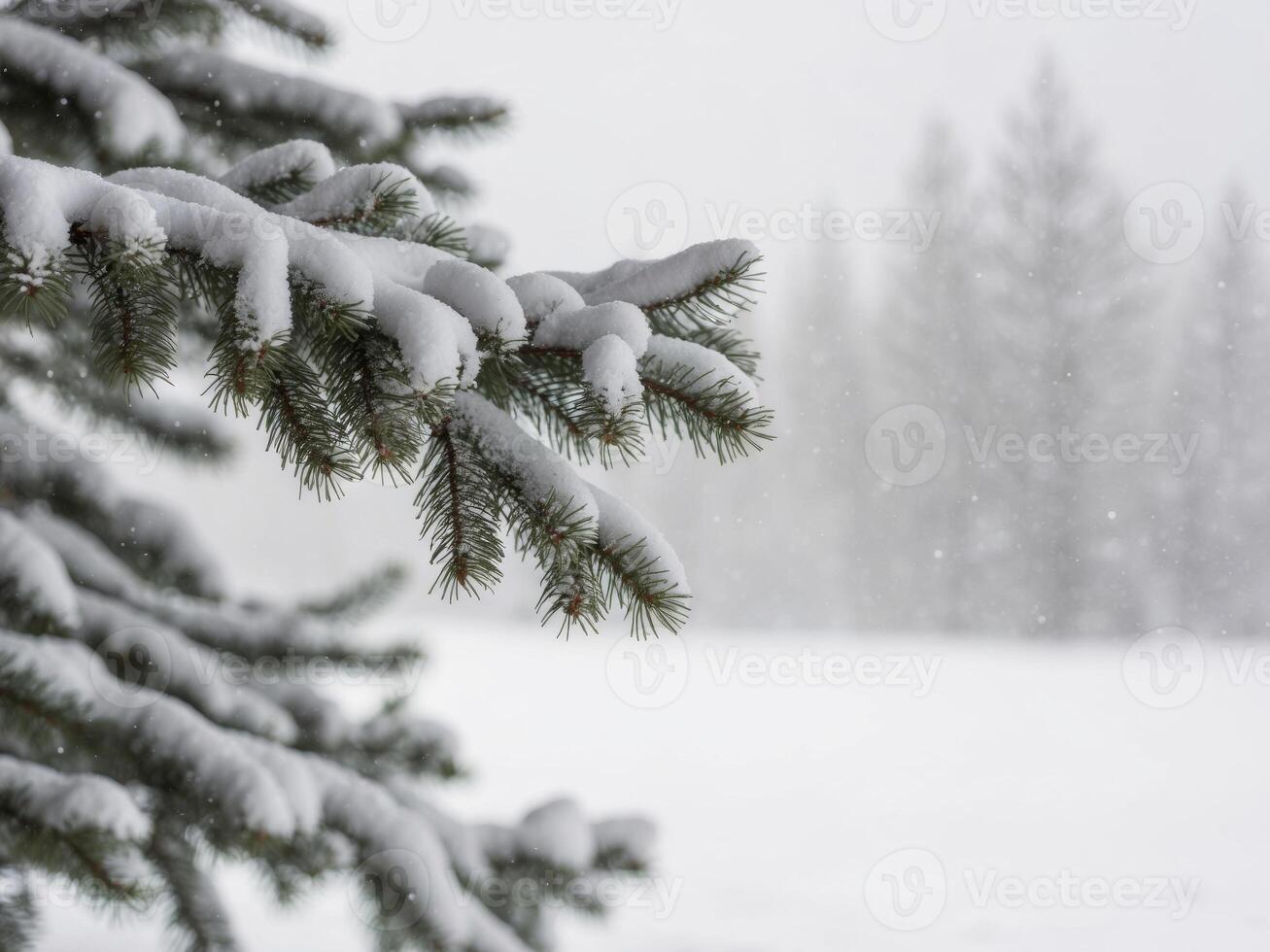 Winter landscape with pine branches and snow in festive atmosphere. photo