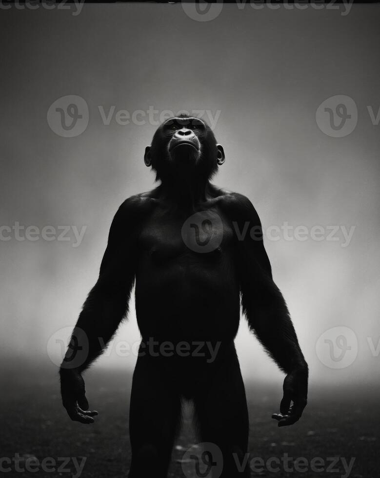 Silhouetted Primate Gazing Upwards In Darkness photo