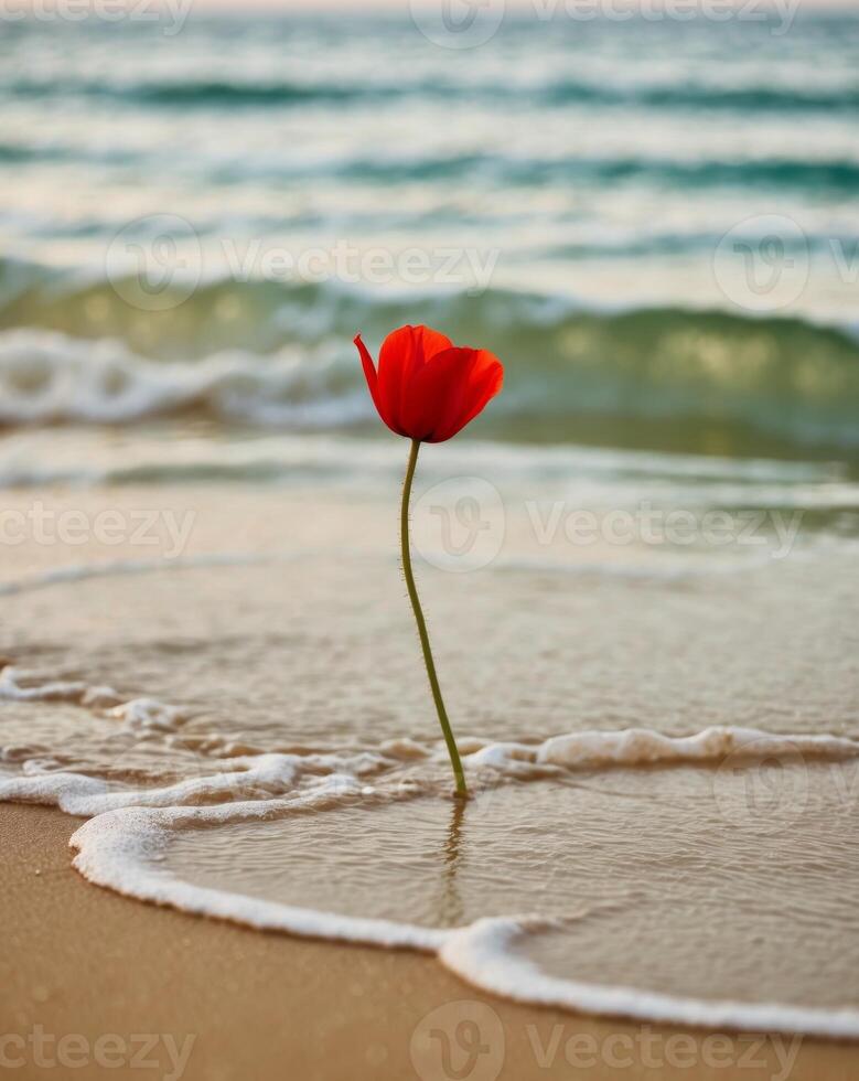 A red flower is on the beach next to the water photo
