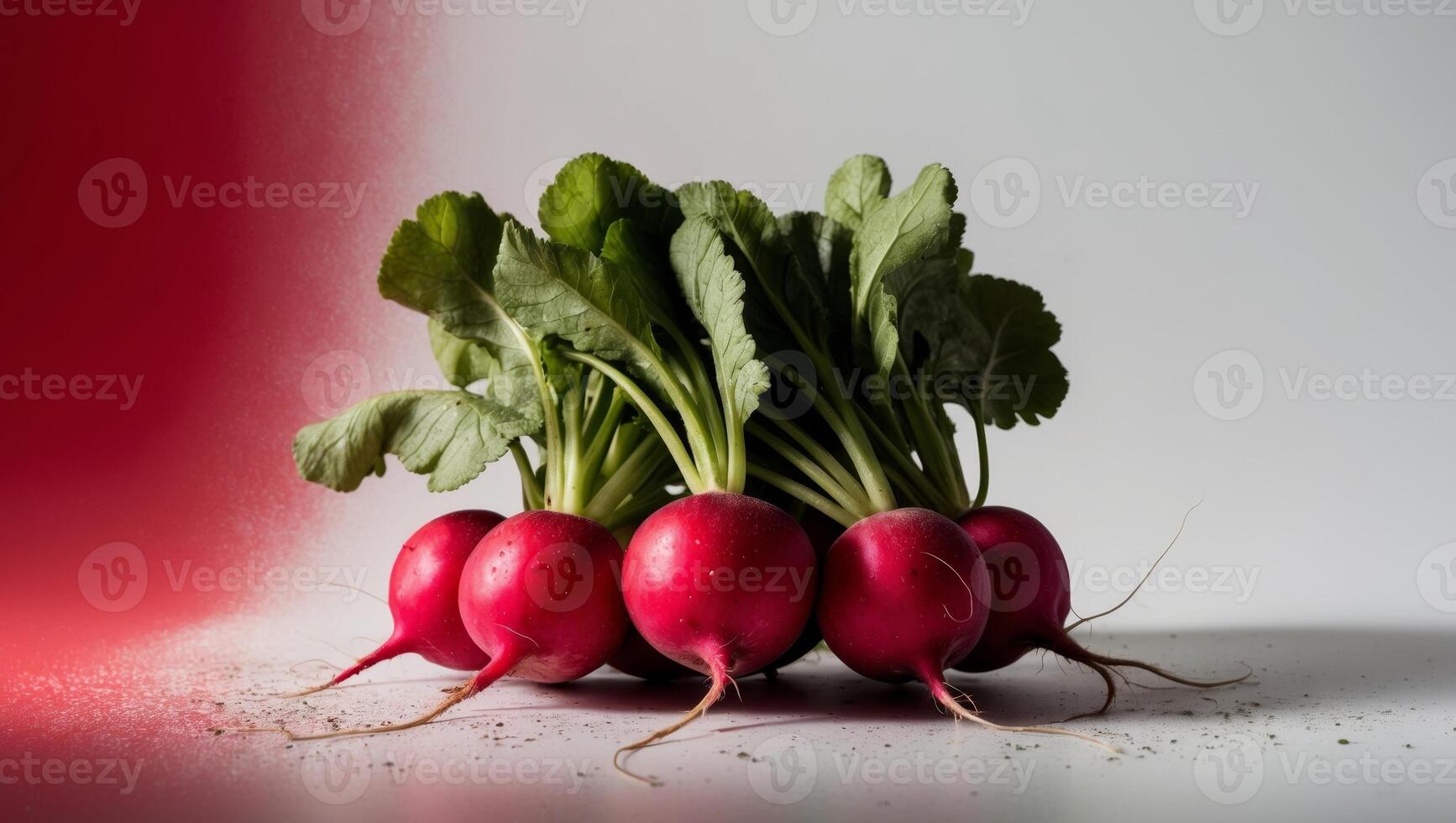 Fresh red radishes with green tops soil dusted vibrant gradient from red to white photo