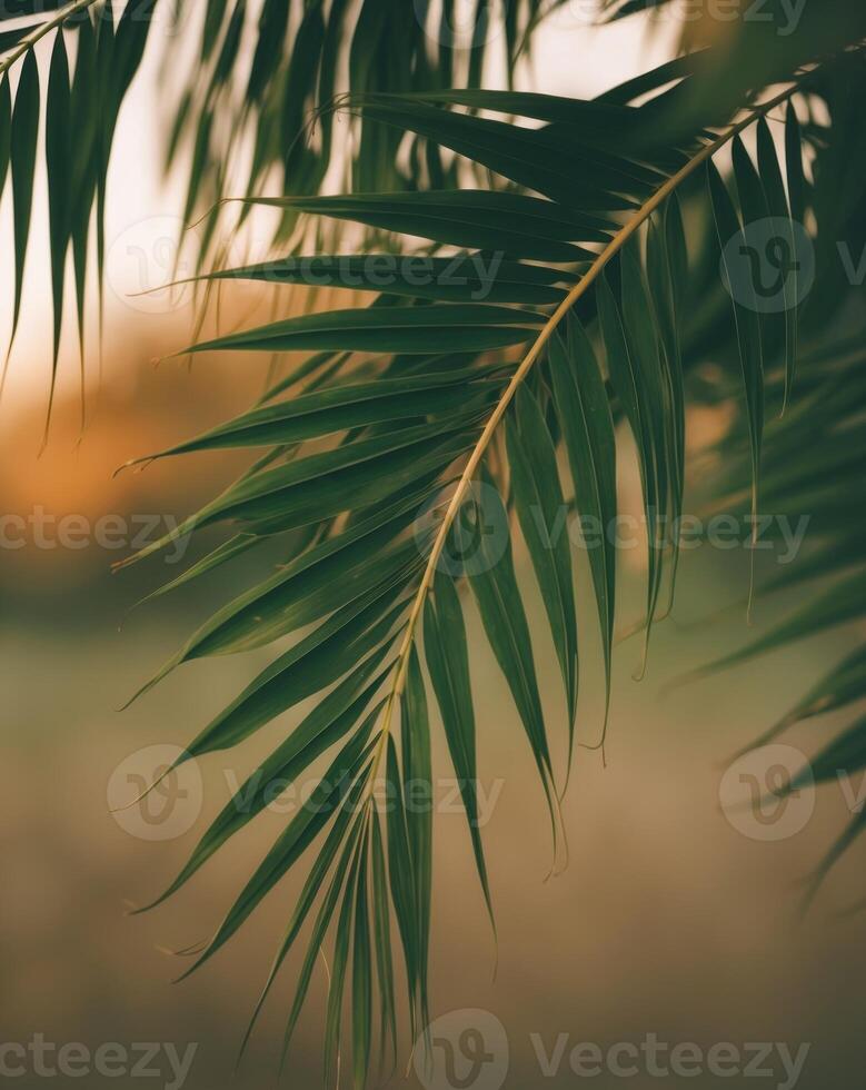 A close up of a palm tree with green leaves photo