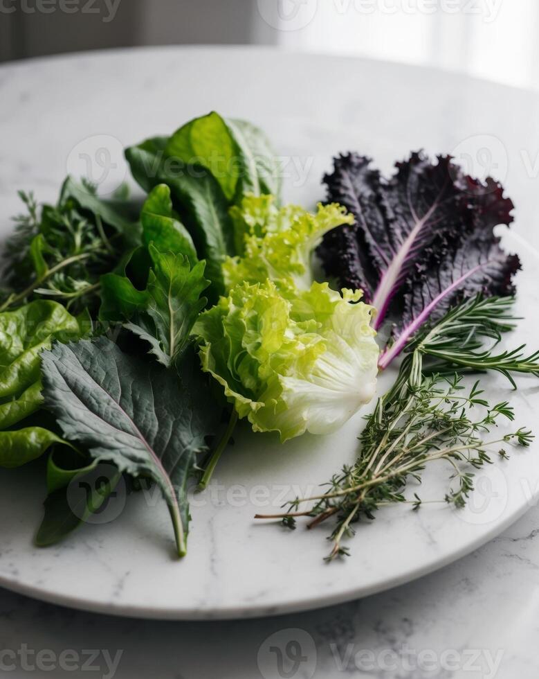 A plate with lettuce, herbs and other vegetables photo