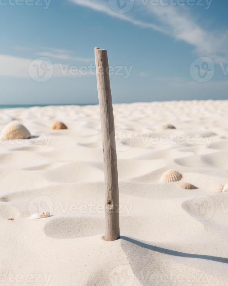 A stick sticking out of the sand photo